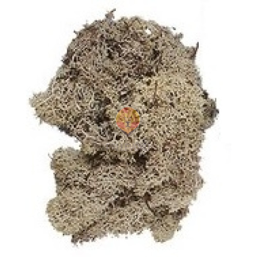 Islandski mah naravne barve 50g