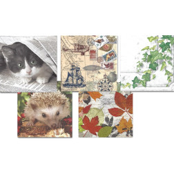 Prtički za servietno tehniko kjut 5 motivov 10 kosov