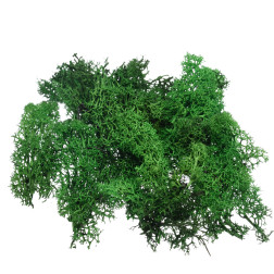 Islandski mah temno zelen 50g