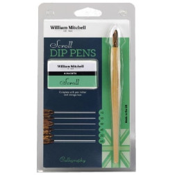 Kaligrafski set Scroll Dip Pens dvojna konica 1 držalo in 6 peres 