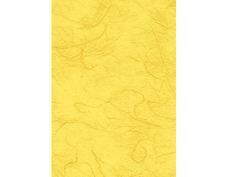 Nitast papir 25g/m2 50x70cm